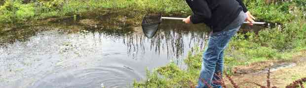 JuJu goes to Pagham Harbour Nature Reserve